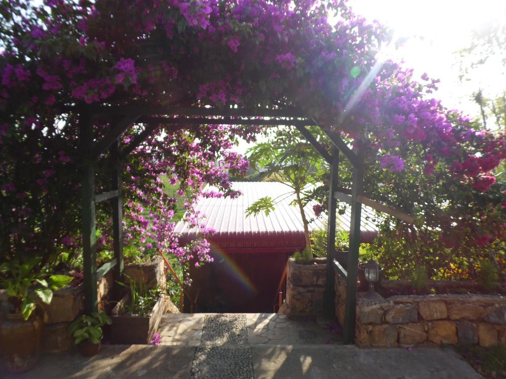 Aythaya Monte Divino Lodge Taunggyi Zewnętrze zdjęcie